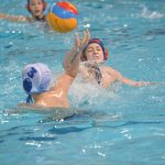 jug1 tomo udovicic11