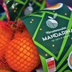 neretvanska mandarina zagreb 3