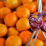 neretvanska mandarina zagreb 4